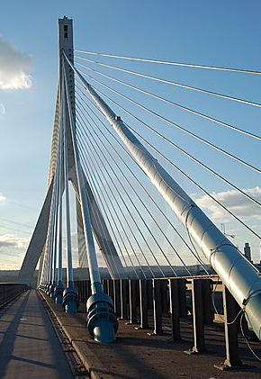 Bridge-The New England Alphabiotic Foundation