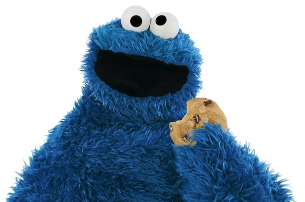 Cookie Monster-The New England Alphabiotic Foundation